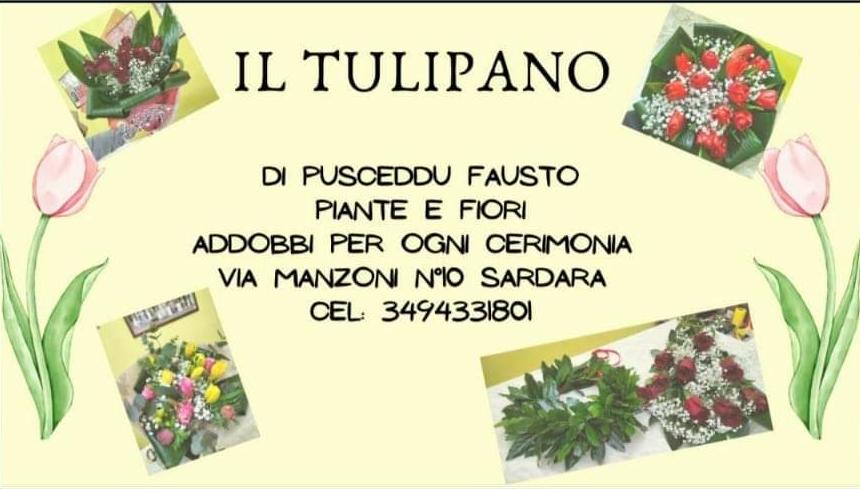 Logo-Il Tulipano